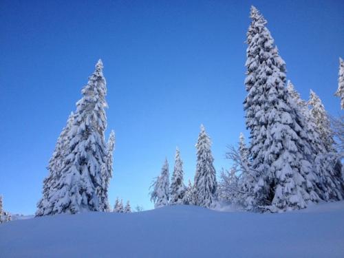 lindaret