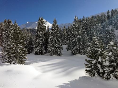 lindaret