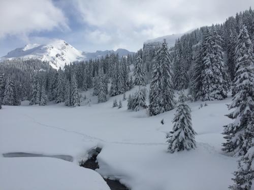 avoriaz