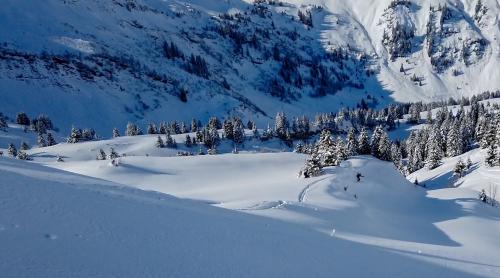 morgins