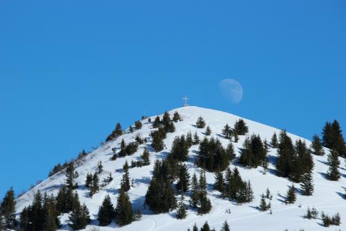 morgins